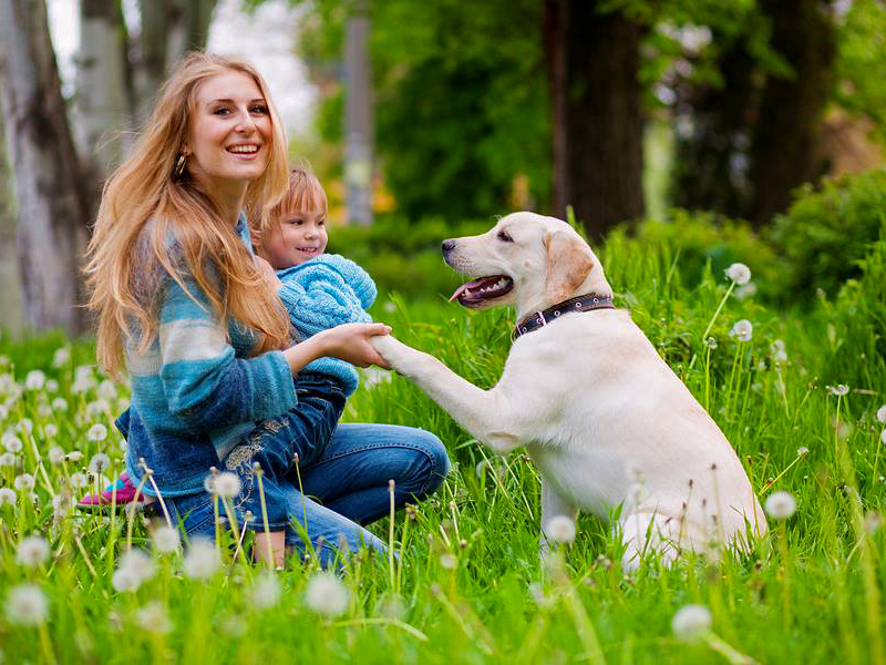 Quels avantages d’avoir un animal de compagnie ? – Le carrefour des animaux